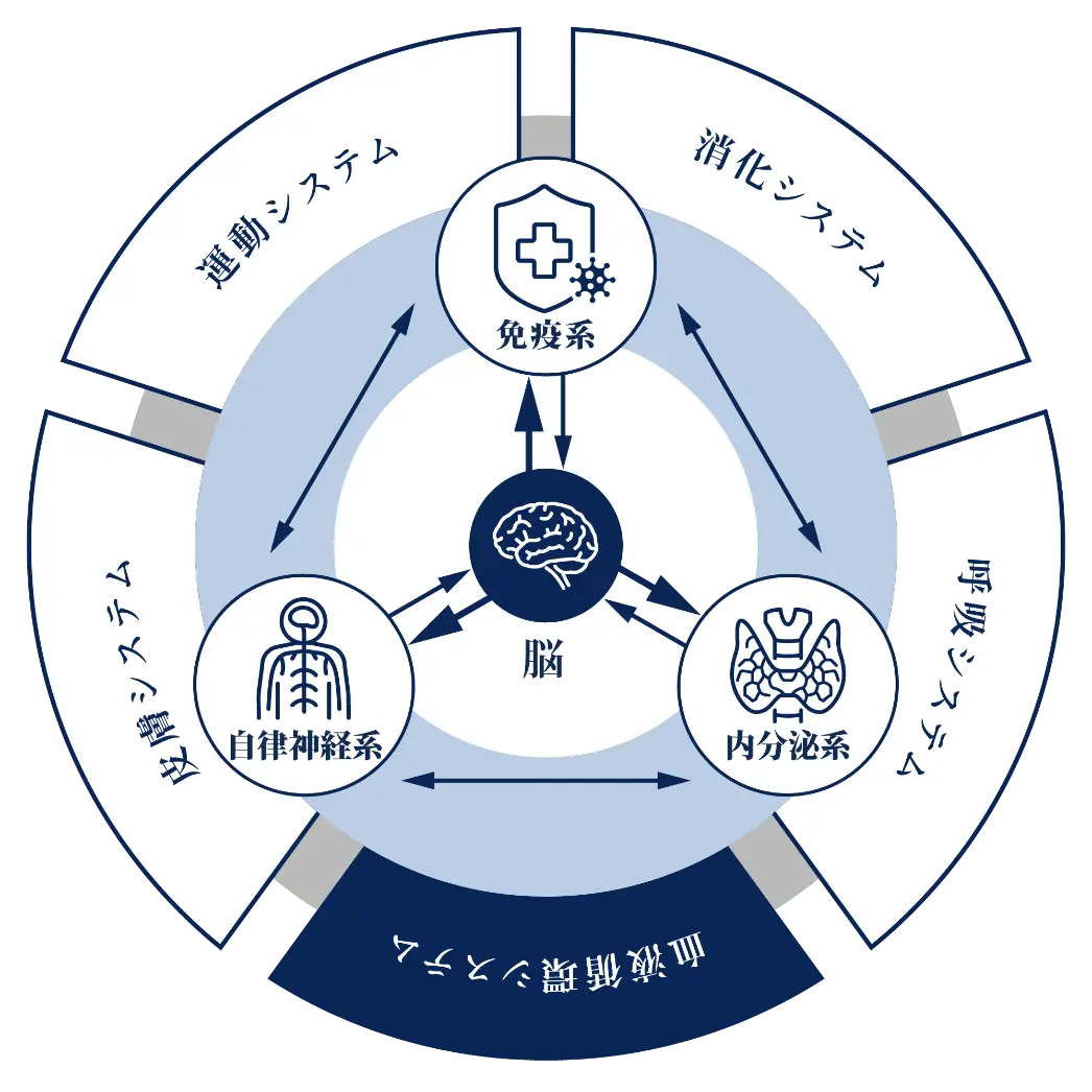 生体防御・調整モデル