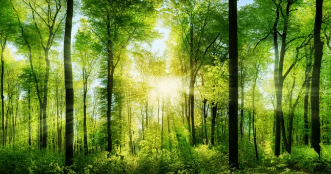 自然と最先端の調和