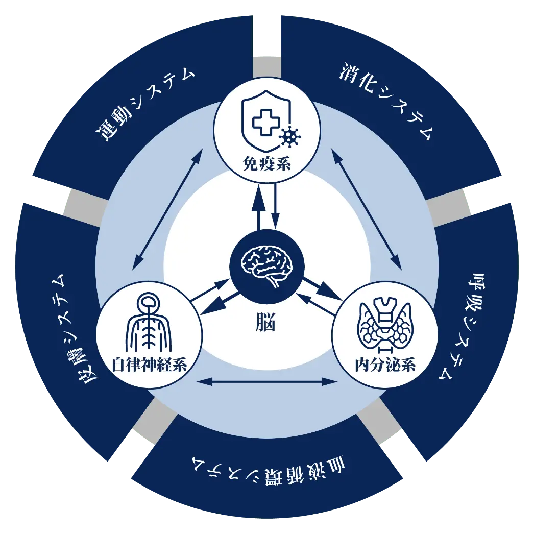 生体防御・調整モデル