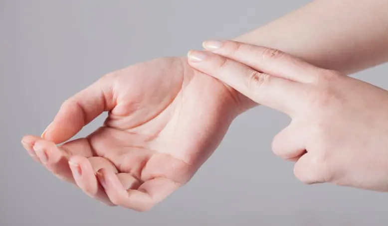 血液循環システム